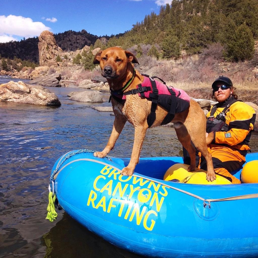 fun-whitewater-rafting-trips-denver